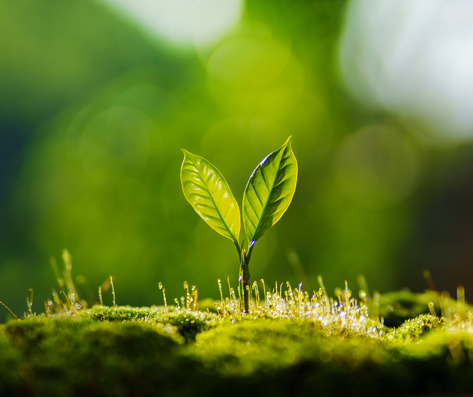 Created to Worship Allah: The True Purpose of Life