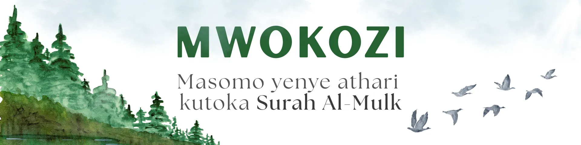 Allah’s Forgiveness: Who He Forgives, What He Forgives, and How to Seek It